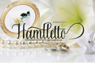 Hamlletto: A Script Font for Web Design